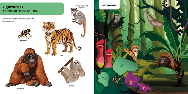 DOC Секрети. Тварини джунглів - Софі Дюссосуа, Флоранс Життар - Pampik - 2