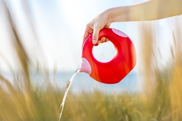 Набір для пляжу Moluk Triplet+ Cana+ Sunny Love+ Cuppi у сумці (2000066010010) - Pampik - 2