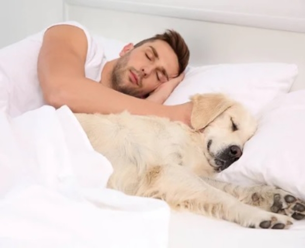 Натуральний рідкий засіб-концентрат Purenn Organic Family Pillow Fight для прання кольорових і білих тканин, для чутливої шкіри, без аромату, 1 л (80449) - Pampik - 5