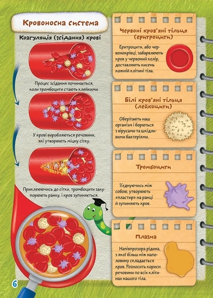 Тіло. Школа чомучки - Pampik - 3