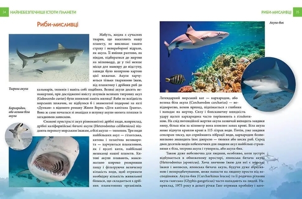 Енциклопедія для допитливих. Найнебезпечніші істоти планети - Гапченко А. В. (9789669355850) - Pampik - 4