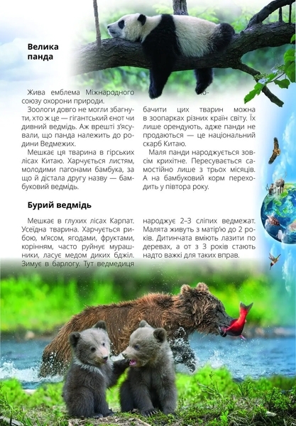 Про все на світі маленьким українцям - Шаповалова К.В. составитель (9789669890450) - Pampik - 2