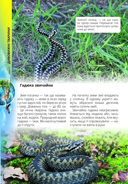 Про все на світі маленьким українцям - Шаповалова К.В. составитель (9789669890450) - Pampik - 4