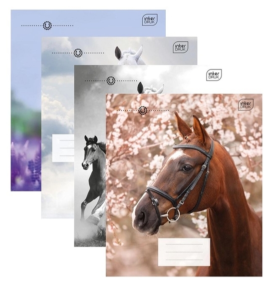 Набір зошитів Interdruk Premium Horses, клітина, 12 аркушів, 8 шт. (298546-8) - Pampik