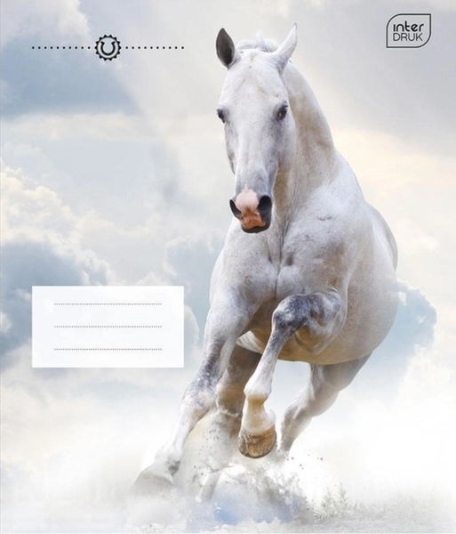 Набір зошитів Interdruk Premium Horses, клітина, 12 аркушів, 8 шт. (298546-8) - Pampik - 3