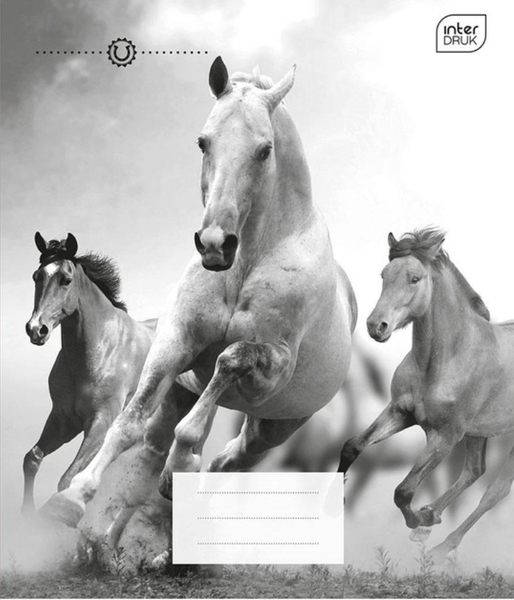 Набір зошитів Interdruk Premium Horses, клітина, 12 аркушів, 8 шт. (298546-8) - Pampik - 5