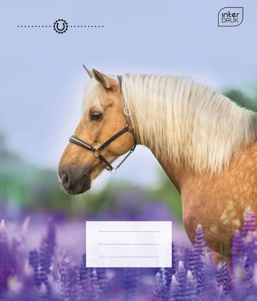 Набір зошитів Interdruk Premium Horses, клітина, 12 аркушів, 8 шт. (298546-8) - Pampik - 4