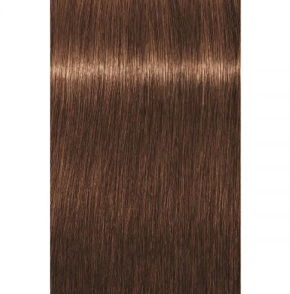 Перманентная краска для седых волос Schwarzkopf Igora Royal Absolutes, тон 6-60 (темно-русый шоколадный натуральный), 60 мл (2681914) - Pampik - 2