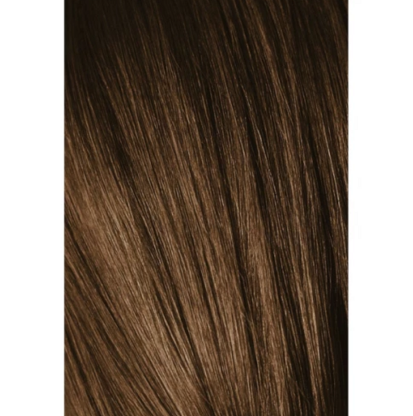 Перманентная краска для седых волос Schwarzkopf Igora Royal Absolutes, тон 6-50 (темно-русый золотистый натуральный), 60 мл (2681836) - Pampik - 2