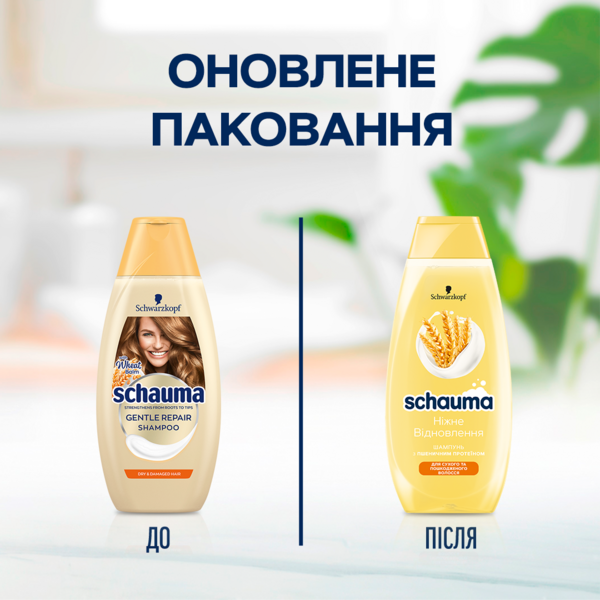 Шампунь Schauma Ніжне Відновлення з пшеничним протеїном, для сухого та пошкодженого волосся, 400 мл - Pampik - 6