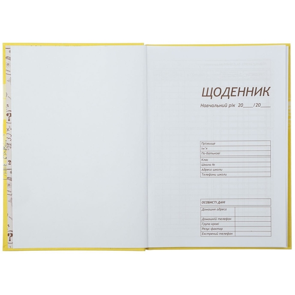 Дневник школьный ZiBi Kids Line Топ Девушка В5 40 листов (ZB.13765-40) - Pampik - 3