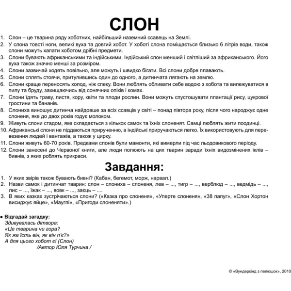 Набір карток Вундеркінд з пелюшок Дикі тварини, ламінований, 20 карток, укр. мова - Pampik - 4
