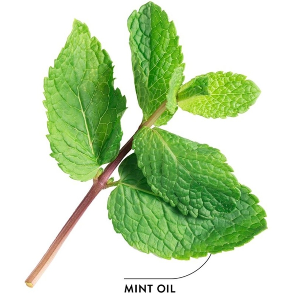 Ополаскиватель для полости рта Ecodenta Expert Line Extraordinary, с черным углем, 500 мл - Pampik - 4