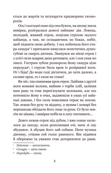 Золотий Лев - Опільський Юліан (978-966-10-5427-0) - Pampik - 6