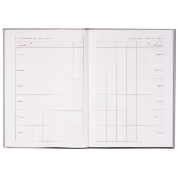 Дневник школьный ZiBi Ballerina В5 48 листов фиолетовый (ZB.13201-07) - Pampik - 2