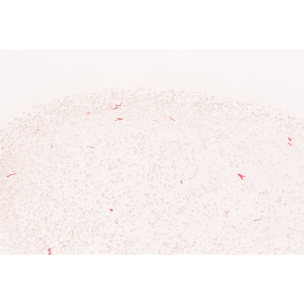 Гель-скраб Stenders Яблоневый цвет восстанавливающий 200 мл - Pampik - 2