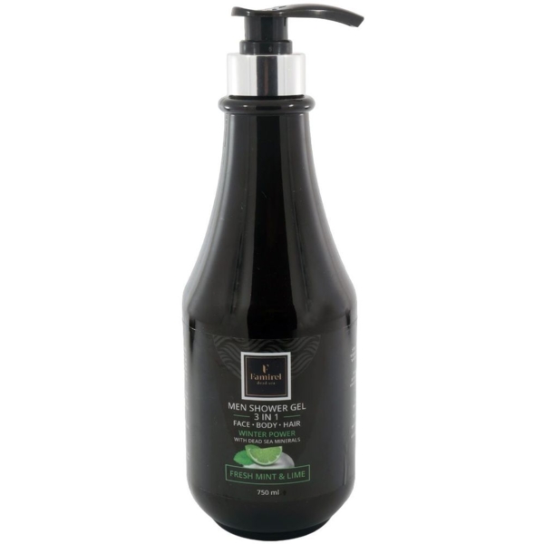 Шампунь-гель для душа Famirel Winter Power Fresh Mint & Lime 3 в 1 с минералами Мертвого моря, 750 мл - Pampik