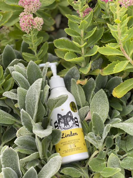 Лосьон для тела Yope Linden 300 мл - Pampik - 3