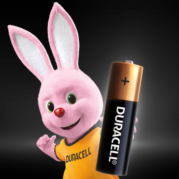 Лужні батарейки пальчикові Duracell Basic 1.5 V АA LR6/MN1500, 10 шт. (5000394152496) - Pampik - 3
