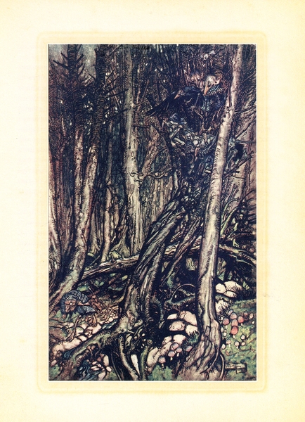 Ундина. Повість - Фрідріх де ла Мотт Фуке (978-966-10-5065-4) - Pampik - 7