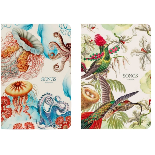 Зошит для записів MonAmi, В5, у лінійку, 80 аркушів, морські мешканці (B5-IC-080-796L) - Pampik - 2