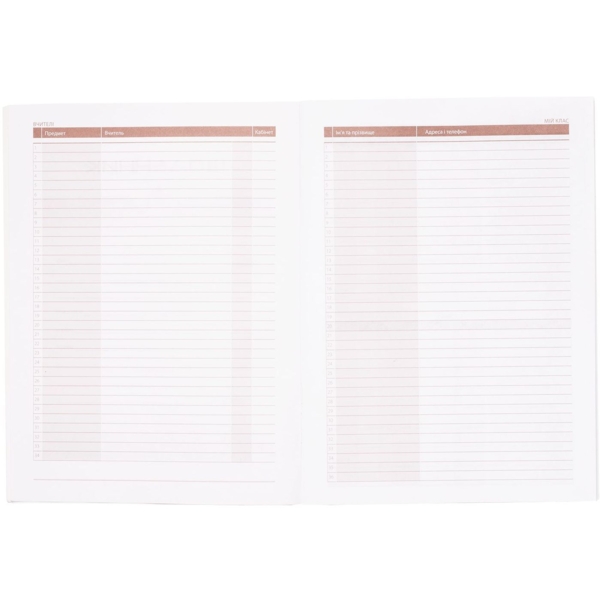 Дневник школьный ZiBi Smart Line А5 40 листов (ZB.13179) - Pampik - 2