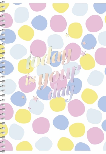 Тетрадь для записей Student Цветные камешки, А5, в клеточку, спираль, 80 листов (A5-SC-080-6094K) - Pampik