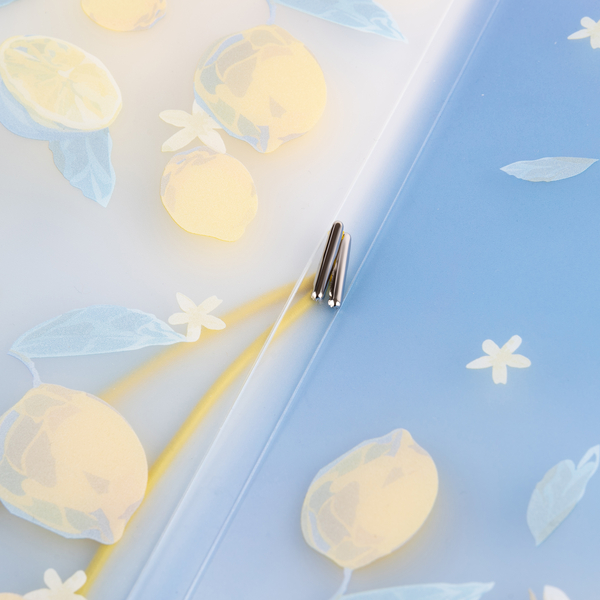 Папка-уголок Yes Lemon, A4, на резинке (491950) - Pampik - 3