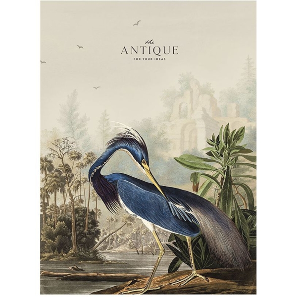 Тетрадь общая Student, А4, в линию, 80 л., цапля (A4-080-5079L) - Pampik