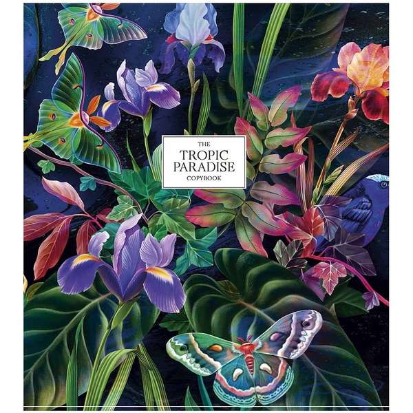 Набір зошитів Школярик Tropic paradise, в клітинку, 96 аркушів, УФ-лак, 5 шт. (096-3254K) - Pampik - 5