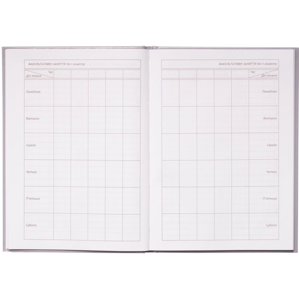 Щоденник шкільний ZiBi Kids Line Ice Cream В5 48 аркушів (ZB.13811) - Pampik - 6