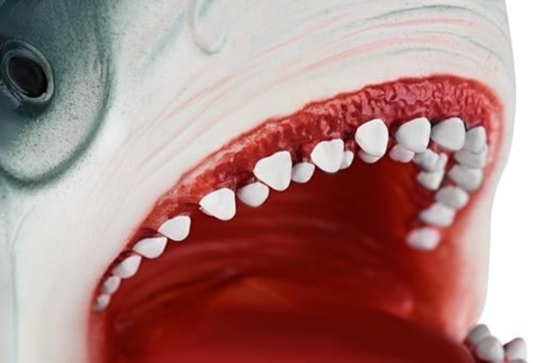 Мягкая игрушка на руку Same Toy Акула, 16 см (X301Ut) - Pampik - 4