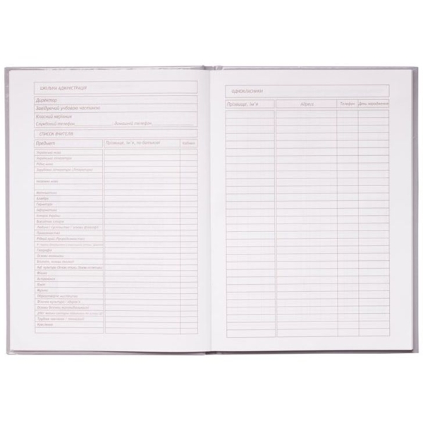 Дневник школьный ZiBi Ballerina В5 48 листов фиолетовый (ZB.13201-07) - Pampik - 4