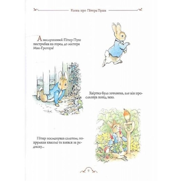 Все про кролика Пітера - Беатріс Поттер (123076) - Pampik - 5