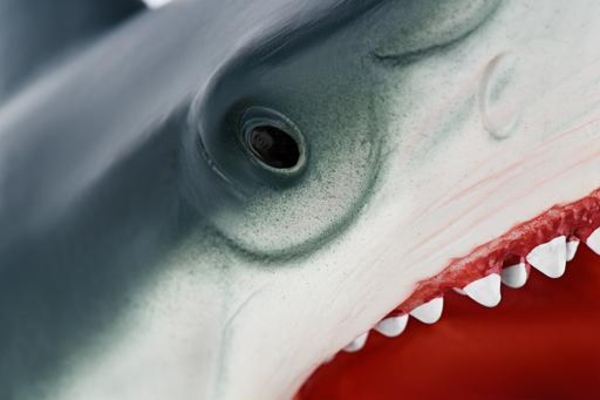 Мягкая игрушка на руку Same Toy Акула, 16 см (X301Ut) - Pampik - 3