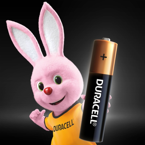 Лужні батарейки мізинчикові Duracell 1.5 V АAA LR03/MN2400, 10 шт. (5000394152557) - Pampik - 3
