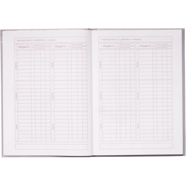 Щоденник шкільний ZiBi Kids Line Ice Cream В5 48 аркушів (ZB.13811) - Pampik - 5