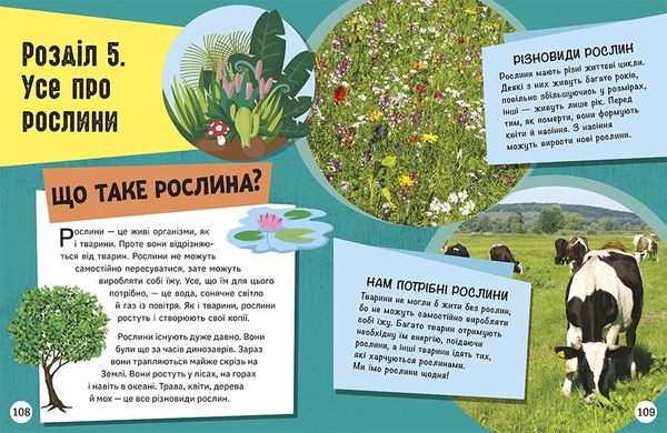 Енциклопедія юних розумників Ранок Допитливим сюди. ДОВКОЛАПИТАНЬ - Ненсі Дікман (НЕ1745007У) - Pampik - 10