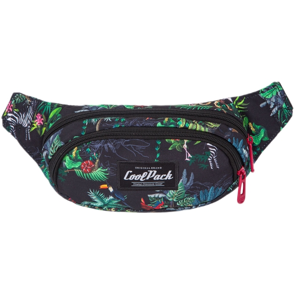 Поясная сумка CoolPack Albany Malindi 23х14х7 см 2 отделения (F075741) - Pampik