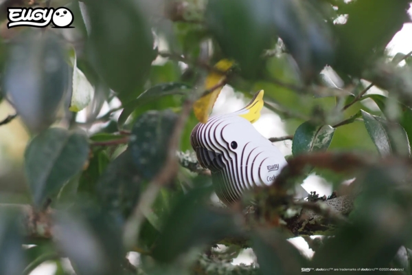 Збірна 3Д модель Eugy Зоопарк Папуга Какаду (XEG-028) - Pampik - 9