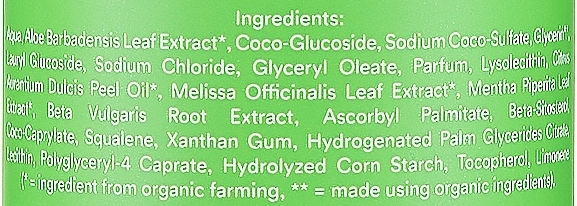 Органічний шампунь Urtekram Aloe Vera Зволоження і регенерація сухого волосся, 250 мл - Pampik - 2