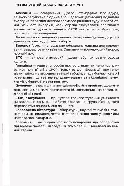 Листи до сина - Василь Стус (R901577У) - Pampik - 6