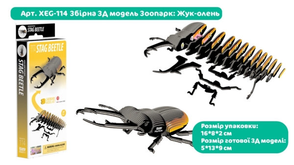 Збірна 3Д модель Eugy Зоопарк Жук-олень (XEG-114) - Pampik - 7