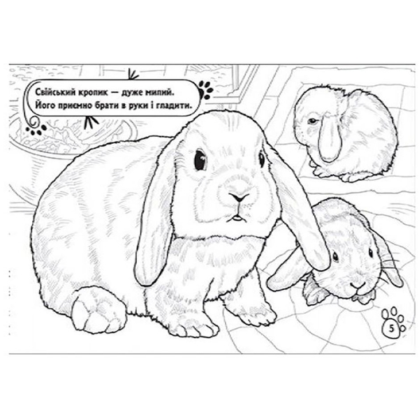 Книга розмальовка Видавництво Ранок Тварини в оселі (А583006У) - Pampik - 2