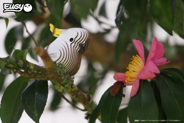 Збірна 3Д модель Eugy Зоопарк Папуга Какаду (XEG-028) - Pampik - 8