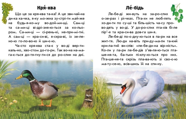 Книга Ранок Читаю про Україну. Тварини річок та морів - Юлія Каспарова (С366024У) - Pampik - 4