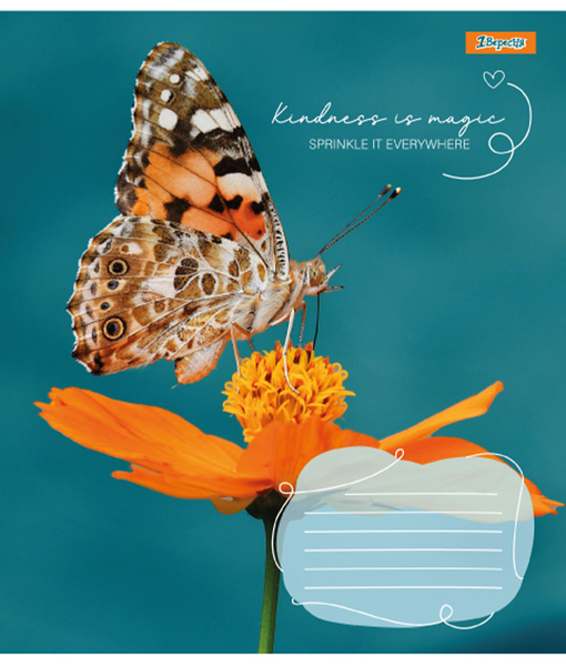 Набір зошитів 1 Вересня Butterfly А5 в лінійку 18 аркушів 25 шт. (767255) - Pampik - 2