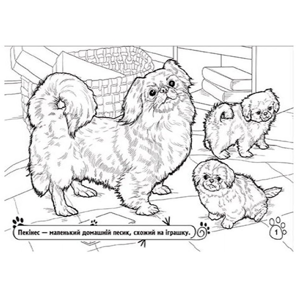 Книга розмальовка Видавництво Ранок Тварини в оселі (А583006У) - Pampik - 3