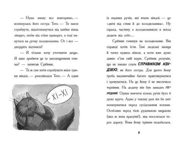 Тото. Кішка-ніндзя та справа про викрадення сиру. Книга 2 - Дермот О'Лірі (Ч1522002У) - Pampik - 5