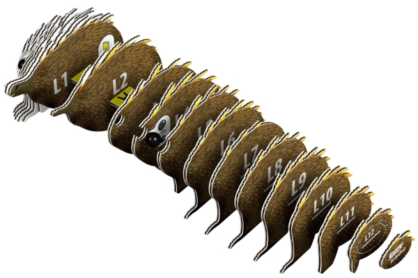 Збірна 3Д модель Eugy Зоопарк Єхидна (XEG-058) - Pampik - 2